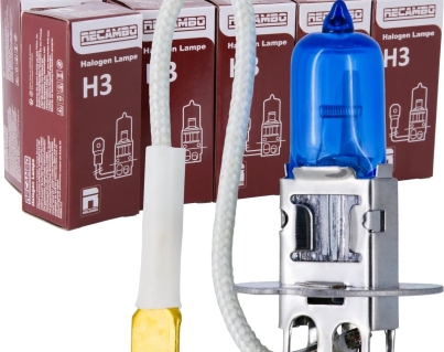 10x-halogen-h3-scheinwerferlampe-birne-55w-12v-abblendlicht-fernlicht-gluehlampen-e-pruefzeichen-sockel-pk22s-xenon-weiss~2